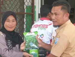 Hindari Kelangkaan Pangan Jelang HBKN, Petani Lokal Diminta Tanam Cabai Secara Mandiri