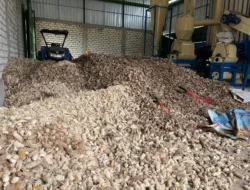 PLN Sulap Limbah Jagung Jadi Listrik, Petani Tuban Dapat Tambahan Penghasilan