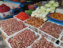 Inflasi Bangka Belitung Tetap Terkendali di Tengah Tekanan Harga Pangan