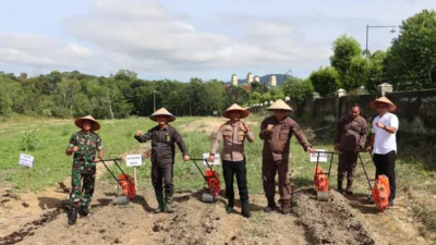 Dukung Swasembada Pangan, Polres Babar Tanam Jagung di Samping Kantor