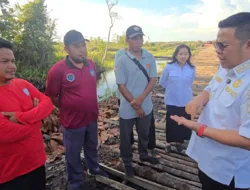 Pemkab Basel Janji Tindak Tegas Oknum Pembalakan Kawasan DAS di Desa Pergam