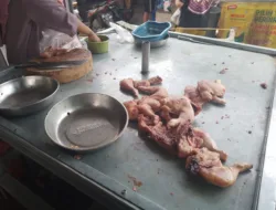 Harga Daging Ayam di Pasar Pangkalpinang Melonjak, Warga Keluhkan Belanja Makin Berat