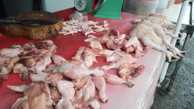 Harga Daging Ayam di Pangkalpinang Melonjak, Diskopdag Beberkan Penyebabnya