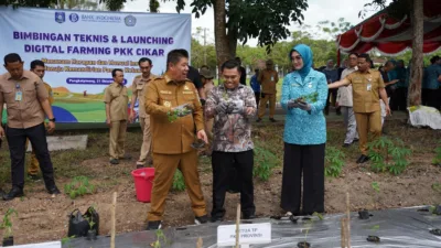Sinergi Bank Indonesia dan PKK Cikar Dorong Good Agricultural Practices Melalui Launching Program Digital Farming di Bangka Belitung
