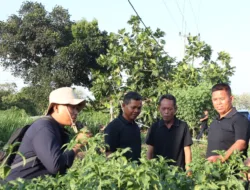 Dukung Program Ketahanan Pangan, Bank Indonesia Tingkatkan Kompetensi Petani se-Babel Melalui Kegiatan Capacity Building dan Benchmarking