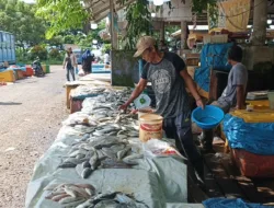 Ikan Segar Turun Harga tapi Daya Beli Lemah
