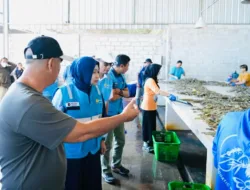 Perkuat Kelistrikan Sektor Perikanan, PLN Babel Pastikan Pasokan Andal bagi Tambak Udang dan Industri Penopang Ekonomi Daerah