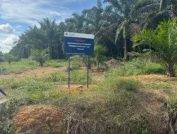 Penerbitan IUP di Lahan Seluas 60 Hektare di Desa Bulutumbang Dipertanyakan Warga, Begini Kata Praktisi Hukum