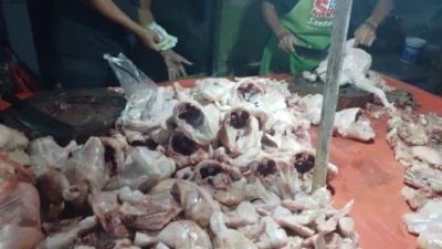 Kini Jadi Rp 35.000/Kg, Turunnya Harga Ayam Ras di Pangkalpinang Dorong Redanya Inflasi September 2025 Lalu