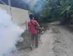 Ada 336 Kasus DBD di Bangka, HAKLI Babel Minta Masyarakat Tingkatkan Kewaspadaan Ancaman Demam Berdarah