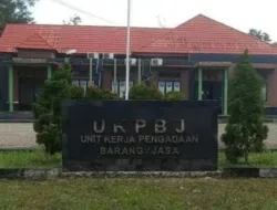 UKPBJ Basel Luncurkan Website Resmi untuk Tingkatkan Transparansi Pengadaan
