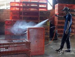Dukung UMKM Makin Berkembang, PT TIMAH Tbk Serahkan Mesin Steam untuk Usaha Ayam Potong di Pangkalpinang