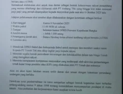 Aksi Penambang 6 November Batal, Gubernur Perintahkan Tangkap Kolektor Beli Timah Harga Murah Rp 90.000