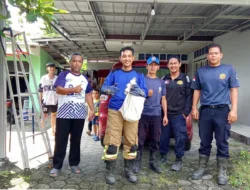 Tak hanya Tangani Kebakaran, Damkar Bangka Lakukan Sejumlah Aksi Penyelamatan Kucing hingga Ular