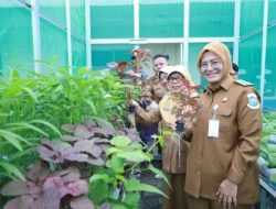 Panen Perdana Hidroponik di SDN 28, Cece Dessy Kagum Anak-anak Belajar dari Biji hingga Panen