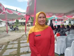 Kasus Kematian Bayi dalam Kandungan di Pangkalpinang Meningkat, Dinas Kesehatan Ungkap Penyebabnya