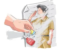 Fery Insani Pertahankan 900 Pegawai Honorer Non-Database