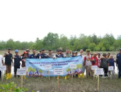 Komitmen Pelestarian Ekosistem Pesisir, PT TIMAH Tbk Tanam 5000 Bibit Mangrove di Pantai Takari