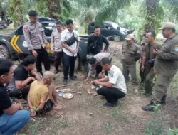 Tim Gabungan Tangkap Penambang di Tahura Menumbing