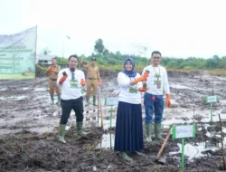 Dukung Energi Bersih, PLN UIW Babel Tanam 10.000 Bibit Pohon Kaliandra melalui Program TJSL di Belitung Timur