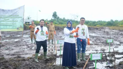 Dukung Energi Bersih, PLN UIW Babel Tanam 10.000 Bibit Pohon Kaliandra melalui Program TJSL di Belitung Timur