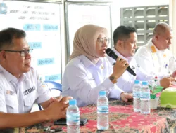 Belum Punya Program Khusus, Cece Dessy Dorong Kolaborasi Penanaman Pohon di Pangkalpinang