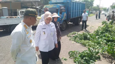 Tinjau Langsung Pemangkasan Pohon di Lontong Pancur, Cece Dessy Tegaskan Pemkot Terus Pantau Pohon-pohon yang Dinilai Rawan