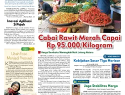 Harga Cabai Rawit Merah Makin Pedas, Tembus Rp 95.000/Kilogram