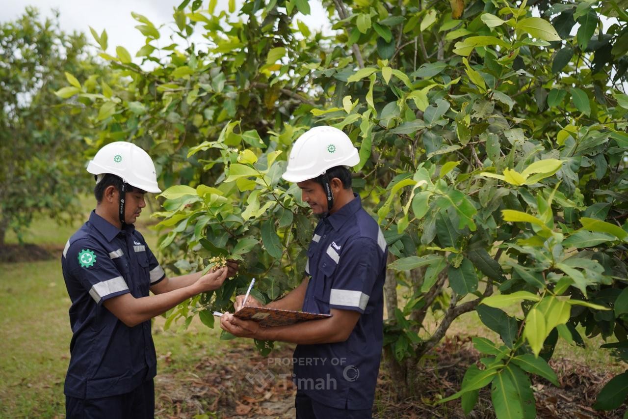 PT TIMAH Tbk Konsisten Laksanakan Reklamasi, Satu Dekade Sudah Tanam 1,4 Juta Pohon