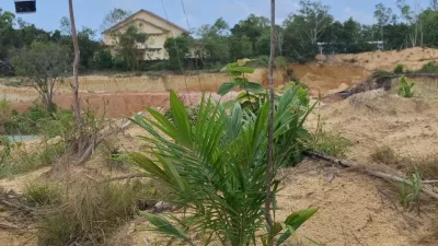 Lahan Dekat Kantor Pemkab Babar Ditanami Sawit, Markus: Jangan Lakukan Aktivitas Ilegal 