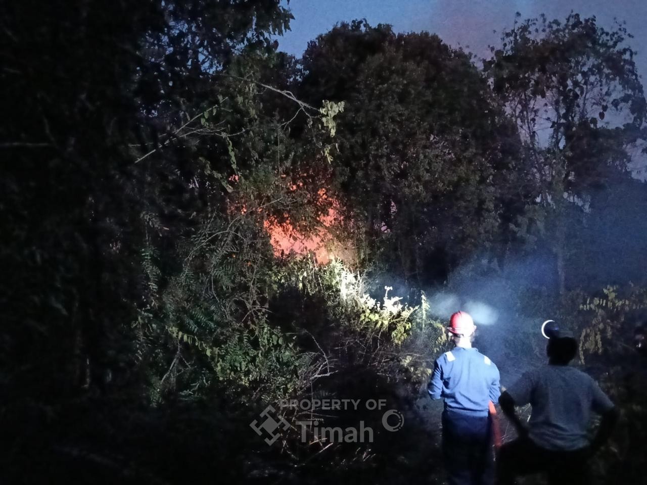 PT TIMAH Tbk Bergerak Cepat Bantu Warga Padamkan Kebakaran Lahan