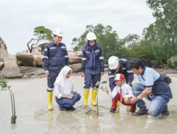 Edukasi Pelajar Soal Lingkungan, PT TIMAH Tbk Tanamkan Kepedulian Lewat Program Mangrove
