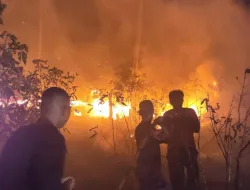 Sepanjang  Januari 2026, Hampir 10 Hektare Hutan di Kabupaten Bangka Terbakar
