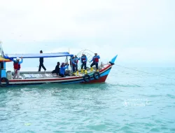 Reklamasi Laut PT TIMAH Tbk: 1.920 Unit Artificial Reef Ditenggelamkan untuk Pulihkan Ekosistem, Hadirkan Manfaat Ekologis bagi Perairan