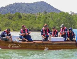 Jaga Ekosistem dan Ekonomi Pesisir, PT TIMAH (Persero) Tbk  Restocking 1.400 Kepiting Bakau di Kepulauan Riau 