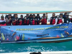 PT Timah Tenggelamkan Atraktor Cumi di Belitung Timur   