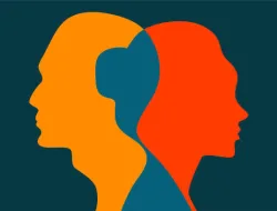 Isu Negatif Soal Direktur RSUD Depati Hamzah Akhirnya Terjawab, Inilah Hasil Pemeriksaan Pihak Inspektorat