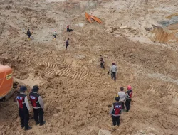 Satu Korban Laka Tambang di Pemali Tak Kunjung Ditemukan, Tim Gabungan Turunkan Anjing Pelacak