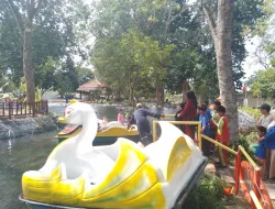 Disediakan Gratis untuk Masyarakat, Kolam Wahana Bebek di RBRA Pangkalpinang Jadi Daya Tarik Anak dan Keluarga