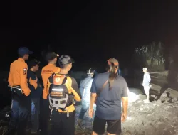 Jauhari Diterkam Buaya saat Memancing, Begini Kronologisnya