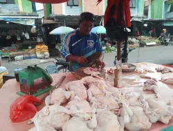 Harga Ayam dan Bumbu Dapur di Pangkalpinang Melonjak Jelang Imlek dan Ramadan, Cabai Rawit Tembus Rp 100 Ribu/Kg
