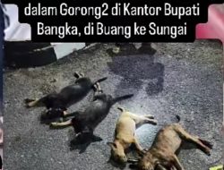 Sejumlah Anak Anjing Mati Dibantai Oknum Satpol PP di Halaman Kantor Bupati Bangka, Pecinta Hewan Desak Pelaku Dipidana