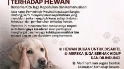 Pemprov Babel Mengutuk Keras Tindakan Pembantaian Anjing, Bupati Bangka Minta Maaf
