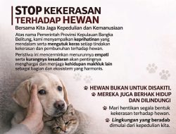 Pemprov Babel Mengutuk Keras Tindakan Pembantaian Anjing, Bupati Bangka Minta Maaf