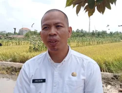 Puluhan Kepsek Tingkat PAUD, SD hingga SMP Akan Diberhentikan, Dindik Basel Buka Peluang Regenarasi