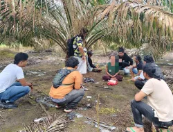 Simpan 494,43 Gram Sabu di Kebun Sawit, AB Diamankan Sat Resnarkoba Polres Bangka 