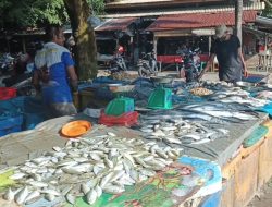 Stok Terbatas, Harga Ikan di Pasar Mentok Mahal