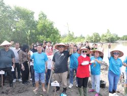 Gubernur Hidayat Arsani Pimpin Aksi Sosial dan Penanaman Mangrove di Pesisir Pantai Ketapang