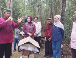 Hutan Pelawan Dikembangkan  Jadi Objek Wisata Edukasi