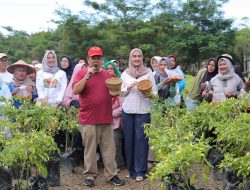 GENCAR Membuahkan Hasil, Bukti Komitmen Gubernur Hidayat Arsani Sukseskan Program Ketahanan Pangan